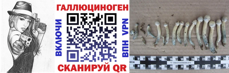 Галлюциногенные грибы Psilocybe  где можно купить   Нижние Серги 